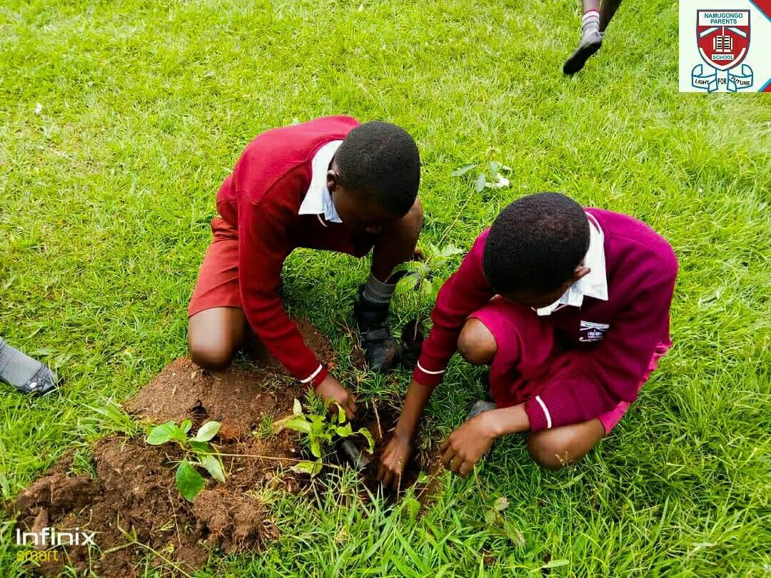 pupils planting trees